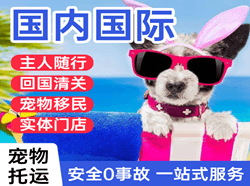 武汉机场空运国际宠物托运 【国